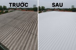 Đơn vị thi công lắp đặt mái tôn - thay mái tôn nhà xưởng tại Bình Phước